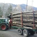 Foto0149.jpg...